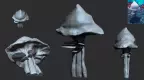 Schrooms